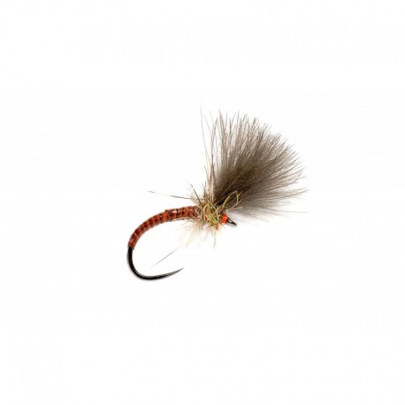 Orange Quill CDC Emerger Barbless