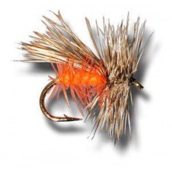 Oregon Caddis
