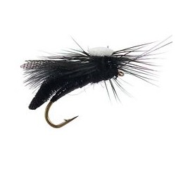 Overleys Headlight Caddis Black