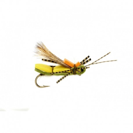 Panther Creek Hopper Olive