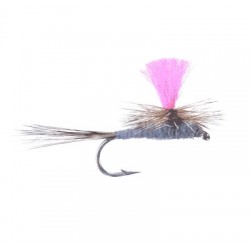 Para Humpy Royal Yellow