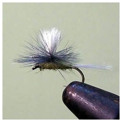 Parachute Black Gnat Red Tail