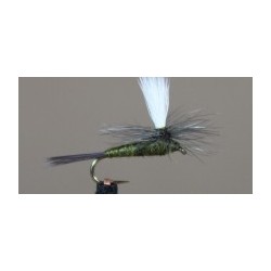 Parachute Black Gnat