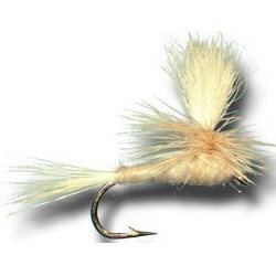 Parachute Caddis (Olive)