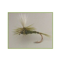 Parachute Golden Stone