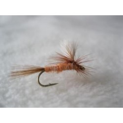 Parachute Iron Blue Dun