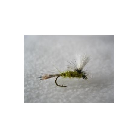 Parachute March Brown