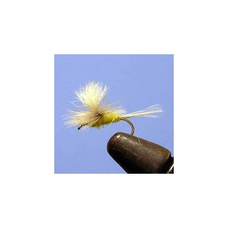 Parachute Olive CDC (Ak)