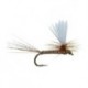 Parachute Pale Evening Dun