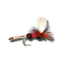 Parachute Pheasant Tail