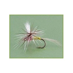 Parachute Royal Cachman