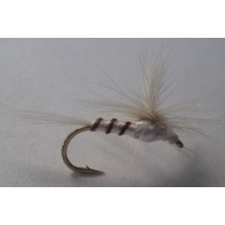 Parachute Sulphur Dun