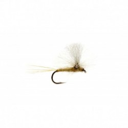 Paradun Dark Olive Minnikin's