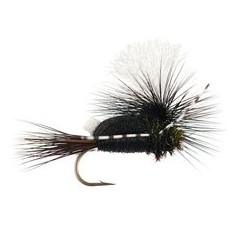 Paradun Pale Watery Minnikin's