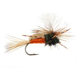 Paradun Quill Mahogany (Pp)