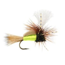 Paradun Quill Olive