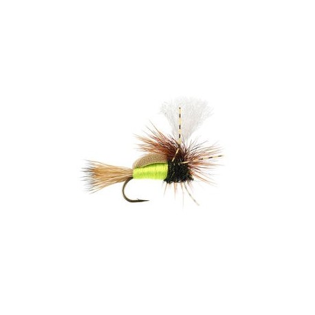 Paradun Quill Olive