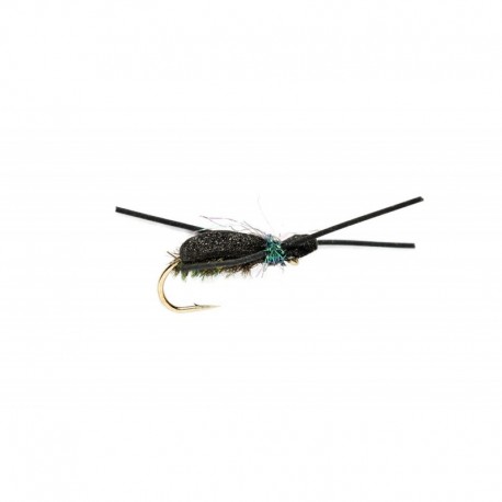 Peacock Kicking Beetle