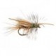 Peters Caddis