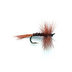 Pheasant Tail