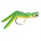 Niswongers Frog Green