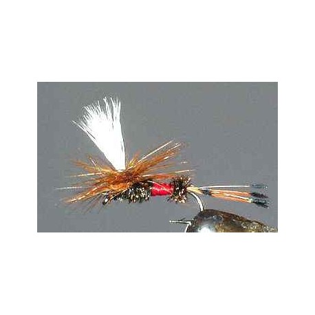 Royal Coachman Parachute