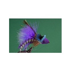 Purple Blue Diving Bug