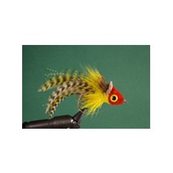 Red and Yellow Umpqua Swimming