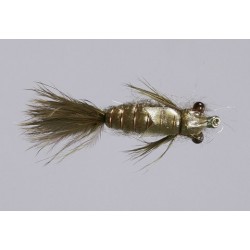 Rl Olive Sf Dragonfly Nymph