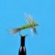 Thorax Dun Green Drake