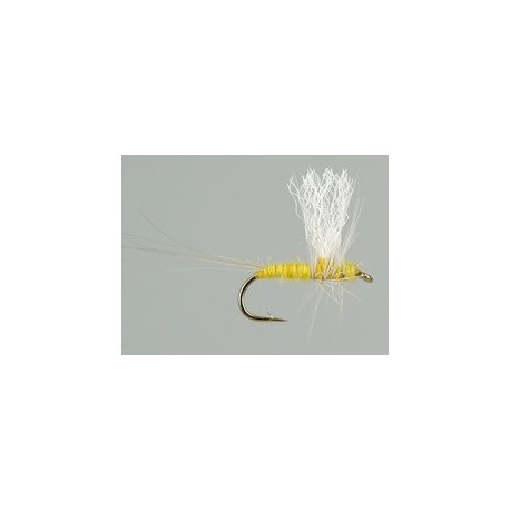 Thorax Yellow