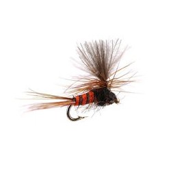 Tiny CDC Parachute Red Brown