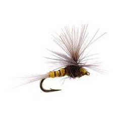 Tiny CDC Parachute Yellow Black