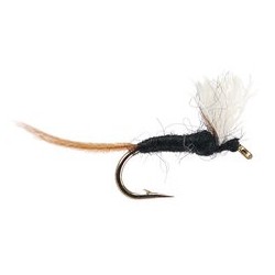 Tricorythodes Male Spinner