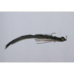 Schiels Black Mad Mud Dog Salamander