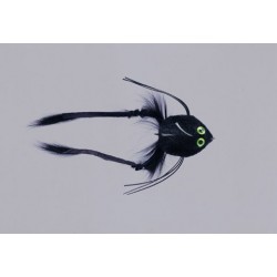 Schiels Black Purple Deep Swimming Frog