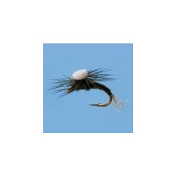 Umpqua Sprout Trico