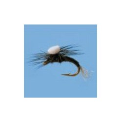 Umpqua Sprout Trico