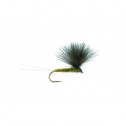 V Wing Olive