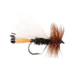 White Peacock Caddis