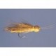 Whitlocks Adult Stonefly Golden