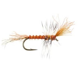 Wikes Sun Burnt Cripple