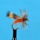 Woodchuck Caddis