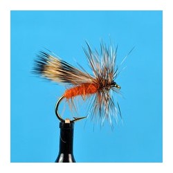 Woodchuck Caddis