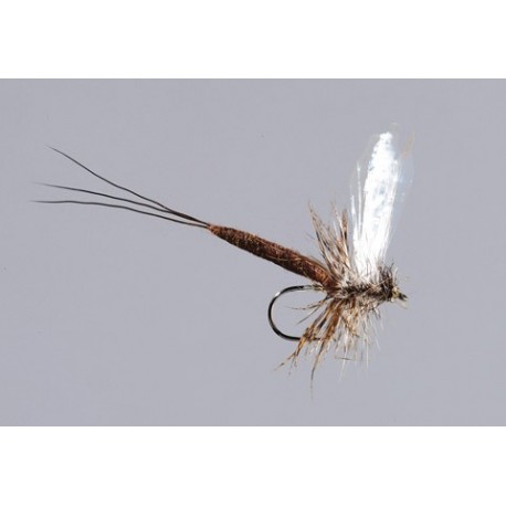 X Fly Modular Drake Brown Drake Tb