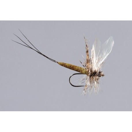 X Fly Modular Drake Green Drake Tb