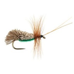 Goddards Caddis Green Bl
