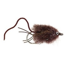 Silvermans Mouse Brown