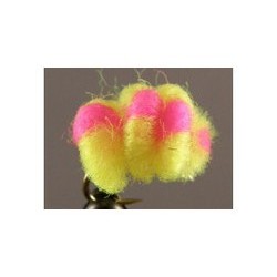 Blood Line Chartreuse Cerise