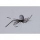 Stus Bionic Spider